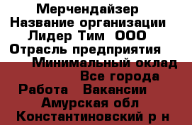 Мерчендайзер › Название организации ­ Лидер Тим, ООО › Отрасль предприятия ­ BTL › Минимальный оклад ­ 17 000 - Все города Работа » Вакансии   . Амурская обл.,Константиновский р-н